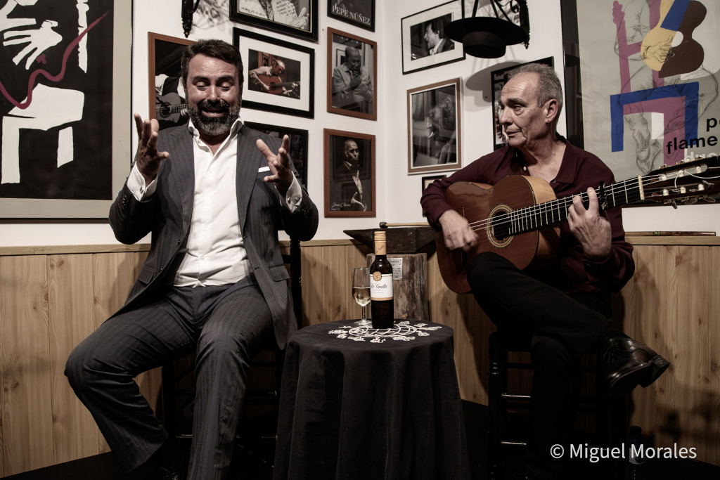 Peña Flamenca Duende