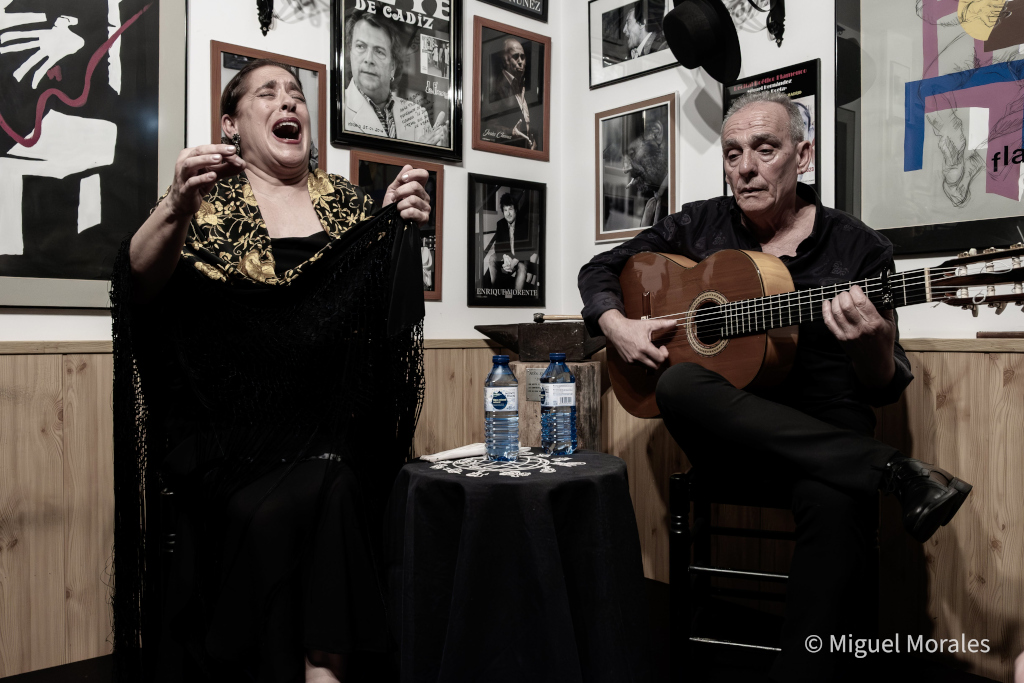 Reportaje Última Actuación - Rosi Campos - 6 de marzo